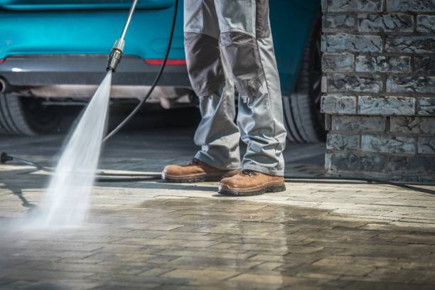 Best Gutter Cleaning  in Ship Bottom, NJ