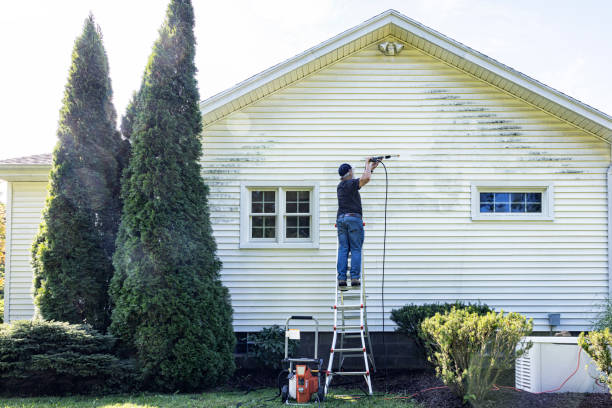 Best Solar Panel Cleaning  in Ship Bottom, NJ